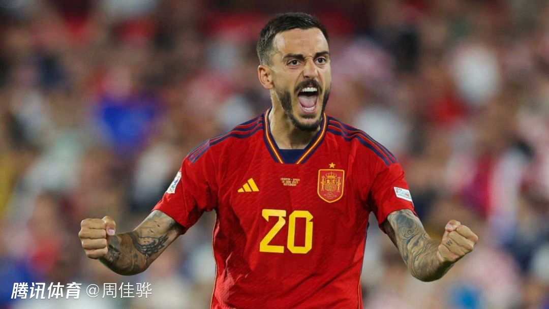 平博官网-费德勒关键节点连败，西班牙队带队取胜！-平博官网